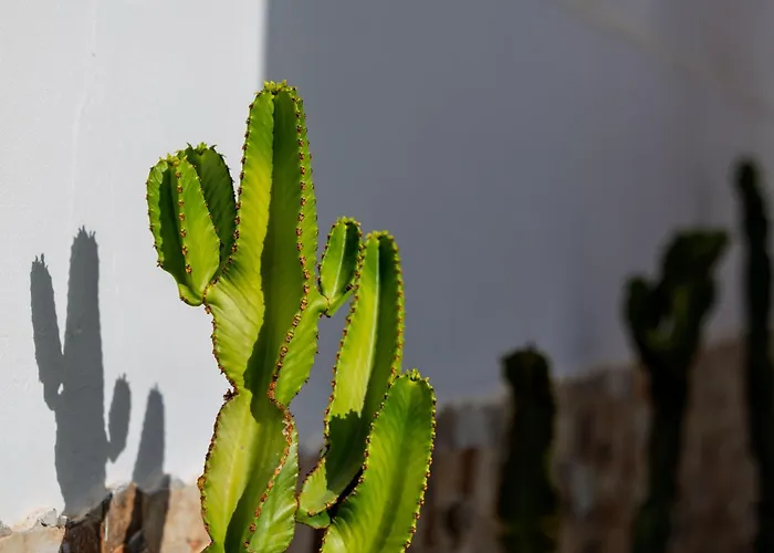 Casa Diana Semesterbostad